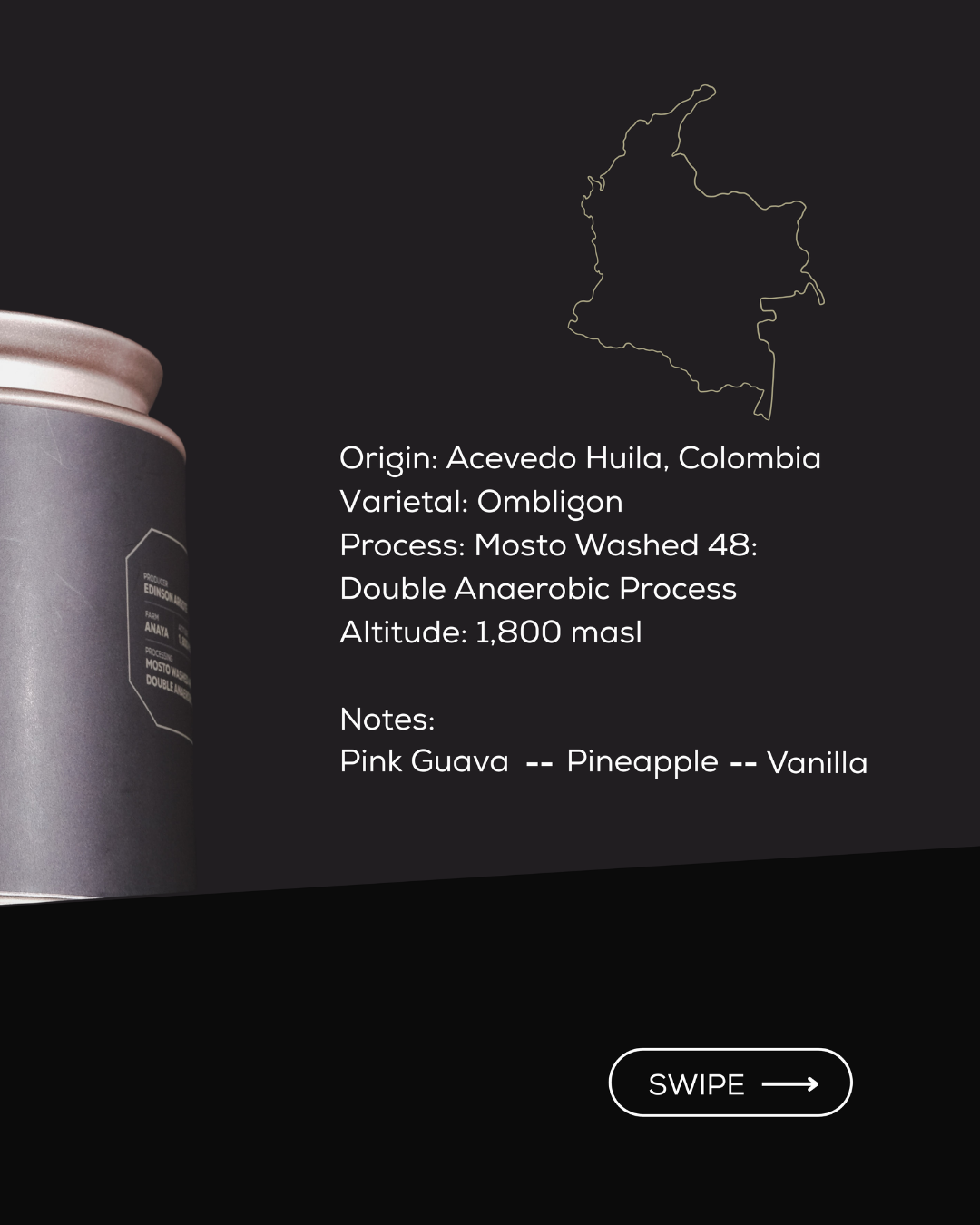 "THE VAULT" - A Filter Collection