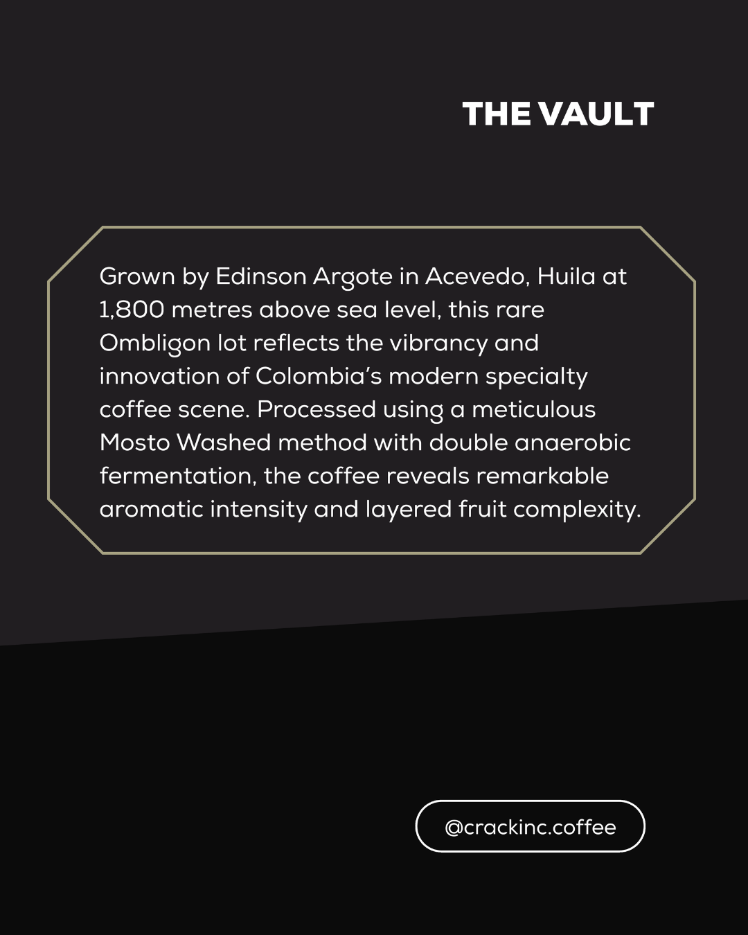 "THE VAULT" - A Filter Collection