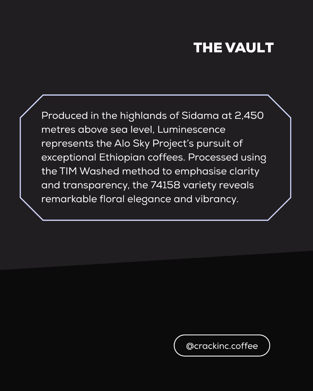 "THE VAULT" - A Filter Collection