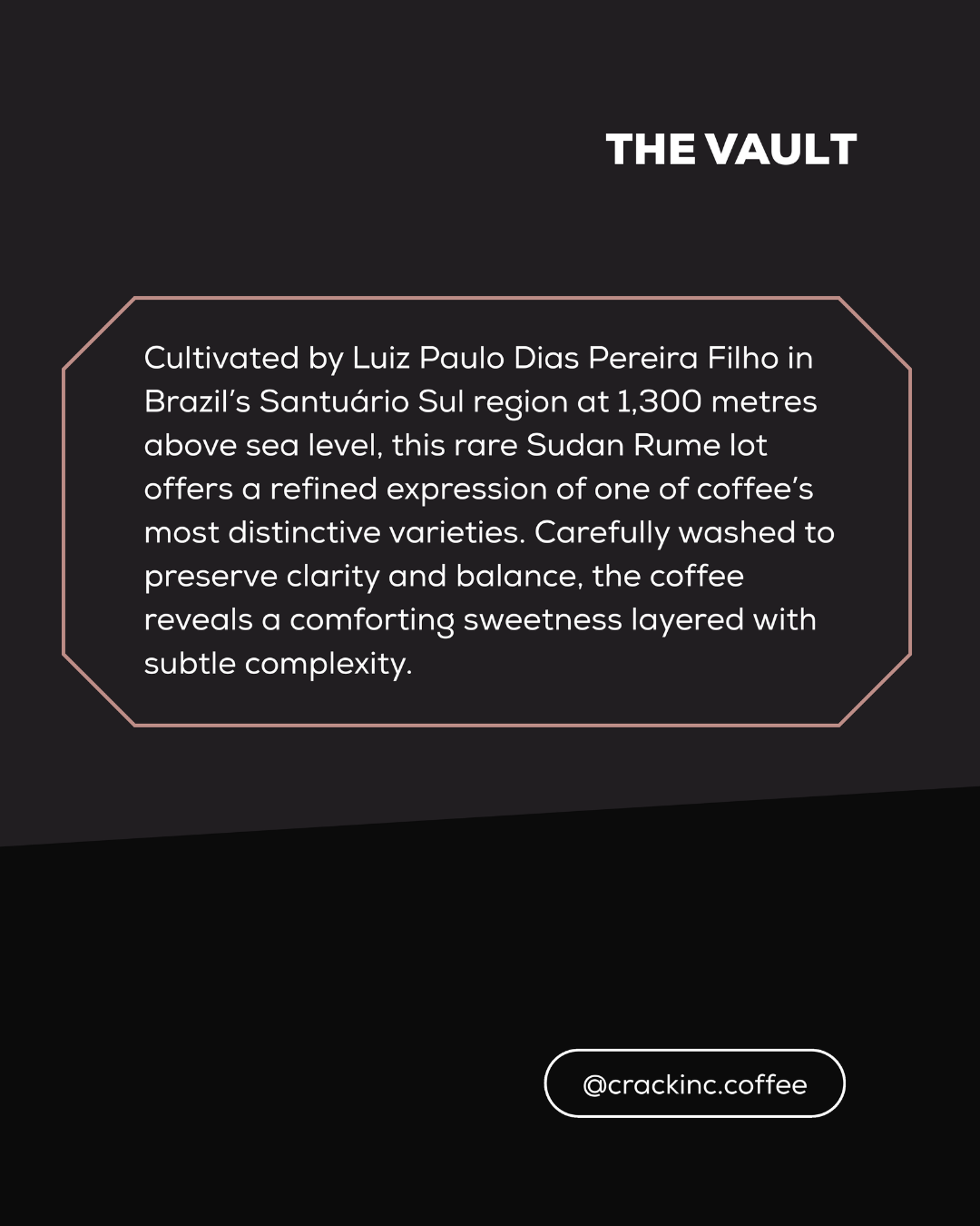 "THE VAULT" - A Filter Collection