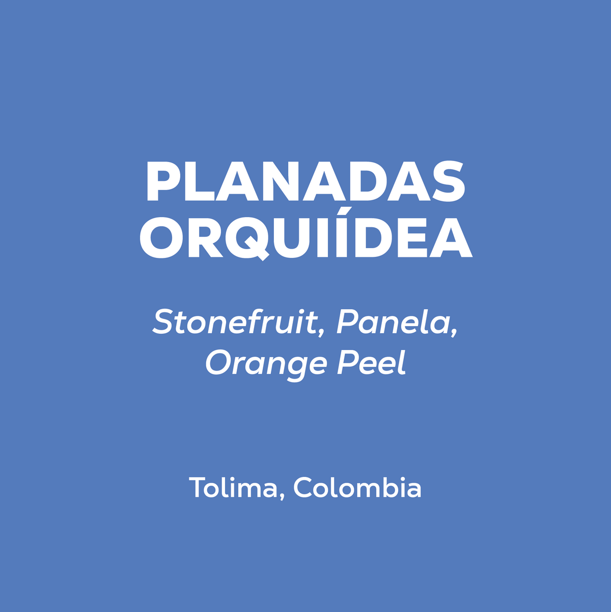 Colombia Planadas Orquídea
